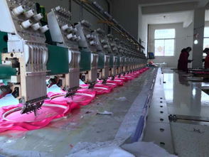 苏北小镇的雄心 情趣内衣产业从“零散”到“链条”的整合之路