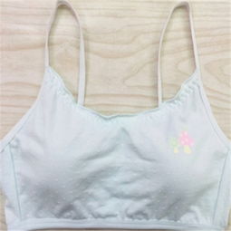 阿卡丽内衣加盟 投资前景与加盟费用解析