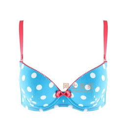 青色文胸芬怡内衣 价格、比价与产品评测